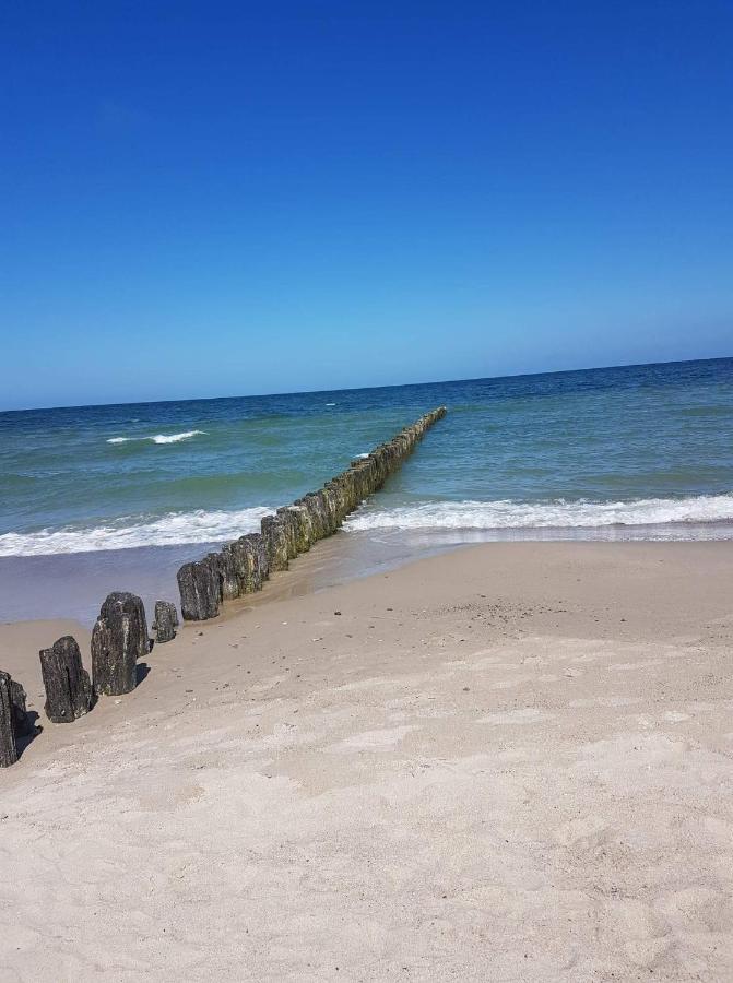 Apartament U Ewy W Kolobrzegu Podczele - 2 Sypialnie 50M2, Wifi I Darmowy Parking! Exteriör bild